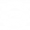 proswag logow